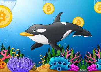 Things You Don't Know About Bitcoin Whales