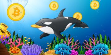 Things You Don't Know About Bitcoin Whales
