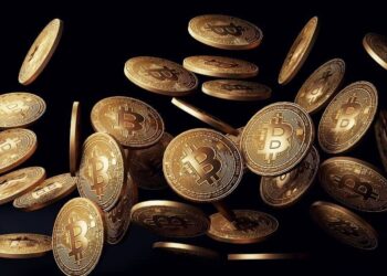 BTC Whale Trade Exchange Values Witnessed a Decline of $35K